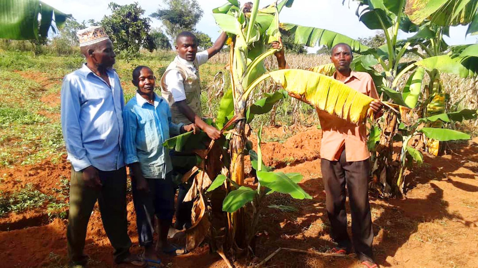 Paysan Pilote :  Nyawenda Clader,  le paysan pilote  de Rustindura