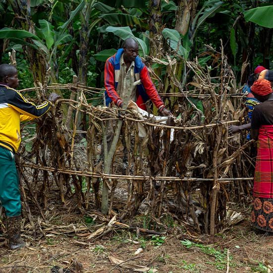 l’appui conseil à la planification, à la gestion et à l’évaluation des campagnes